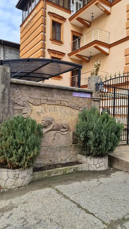 Южный вайб Миракль