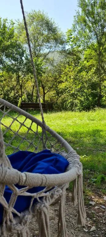 Старый Ясень