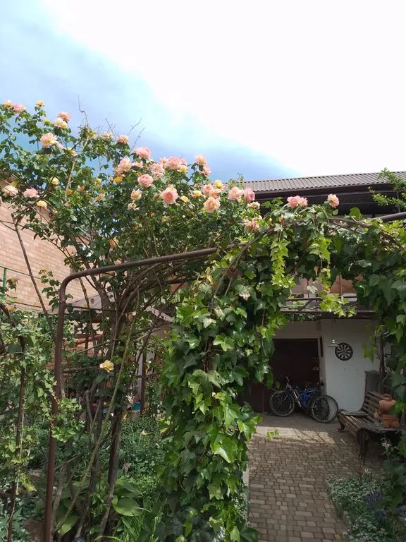 У нас как дома