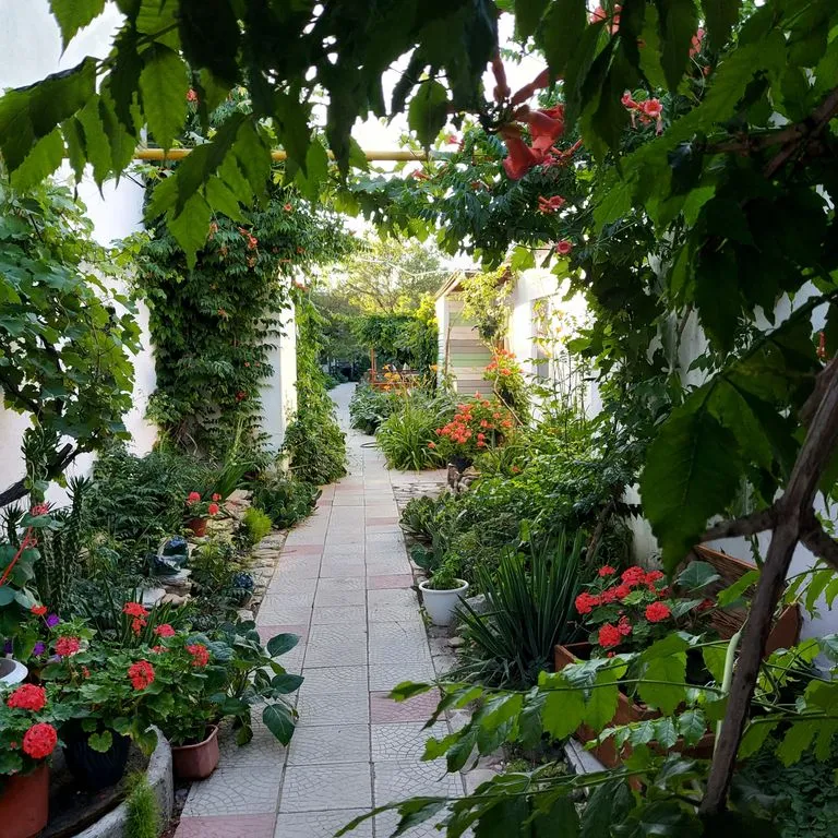 Акварель