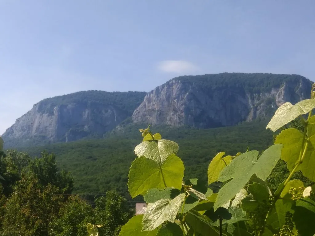 Сельское Подворье