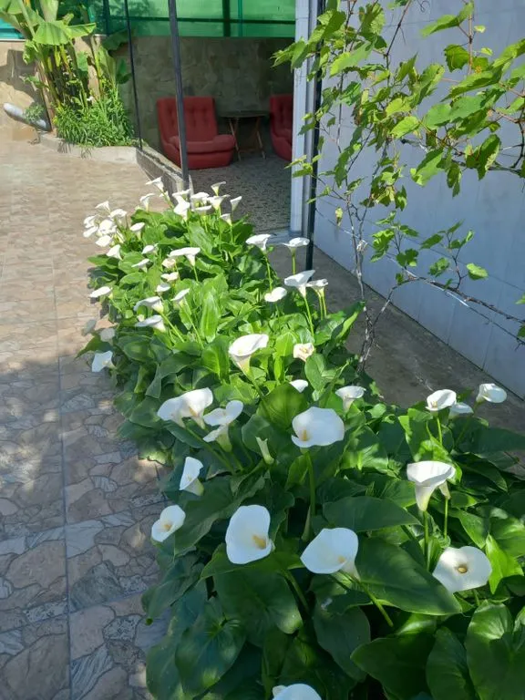 Объект «Коттедж Отдых», Вардане — фото 16