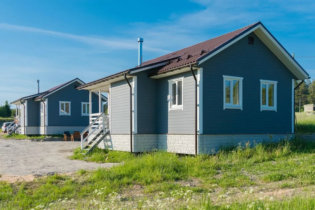 Утиная история