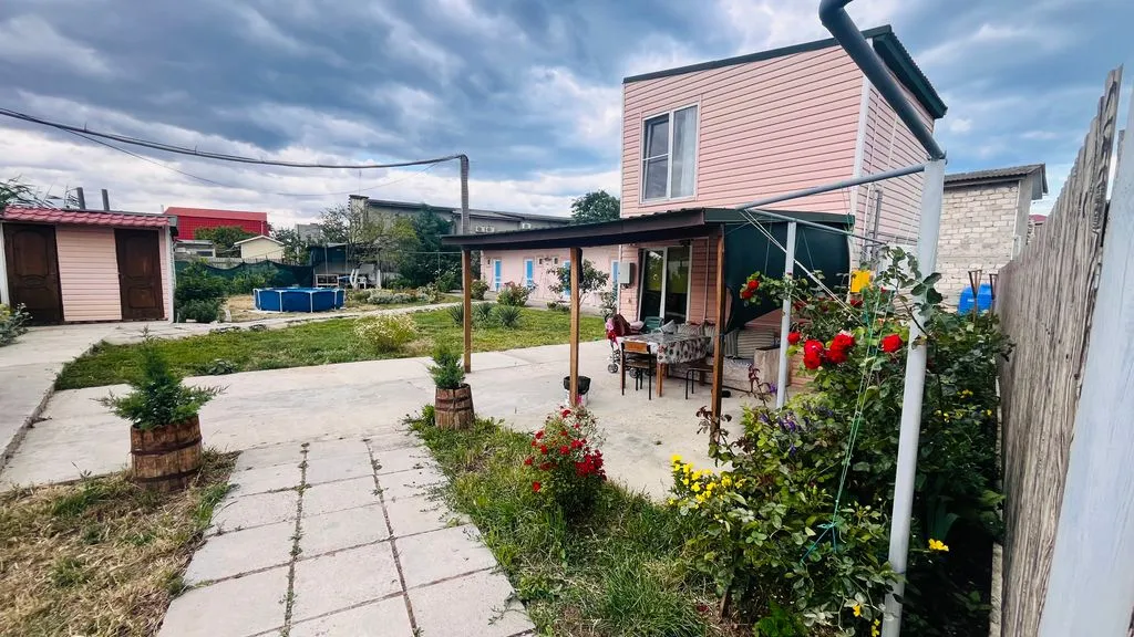 Цветущая роза