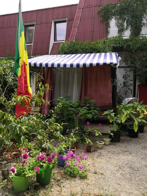 Тихий дворик