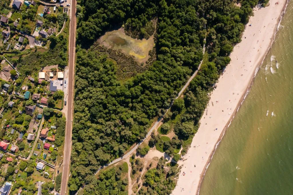 Сёрф и велик