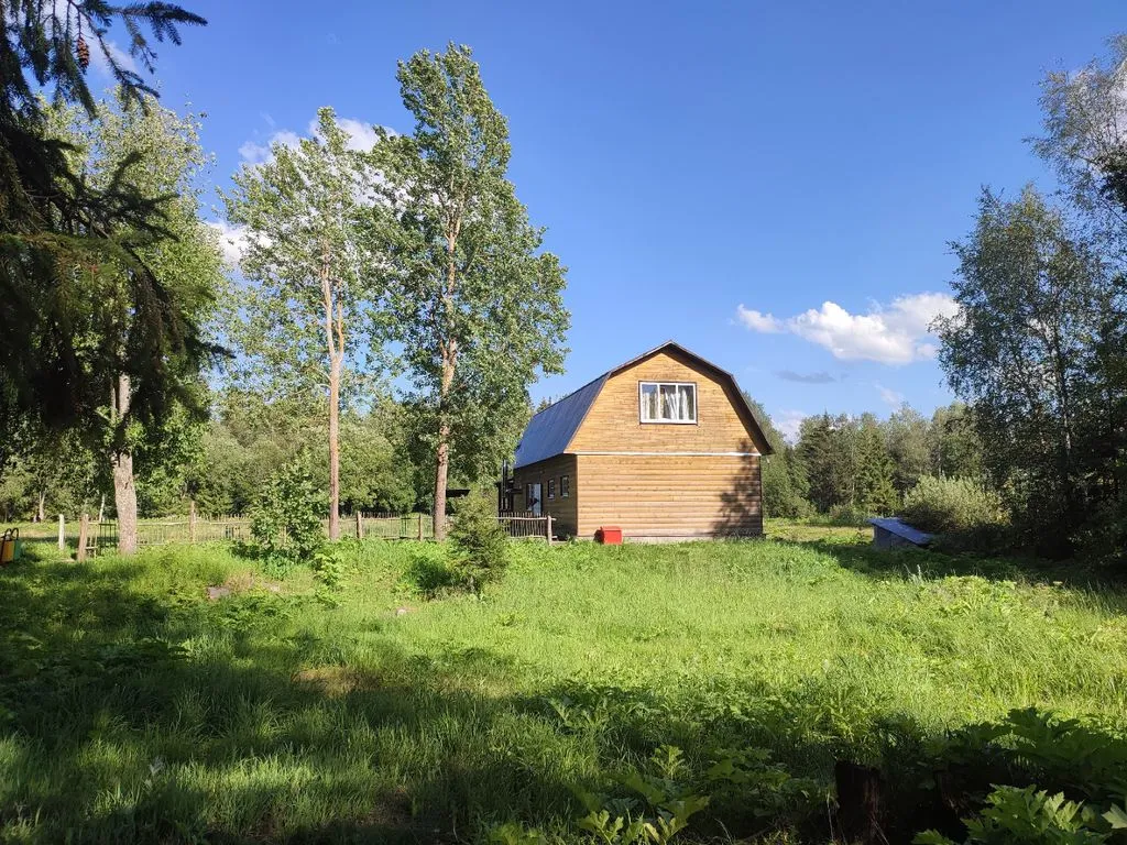 Фото отеля «Berezki», 4