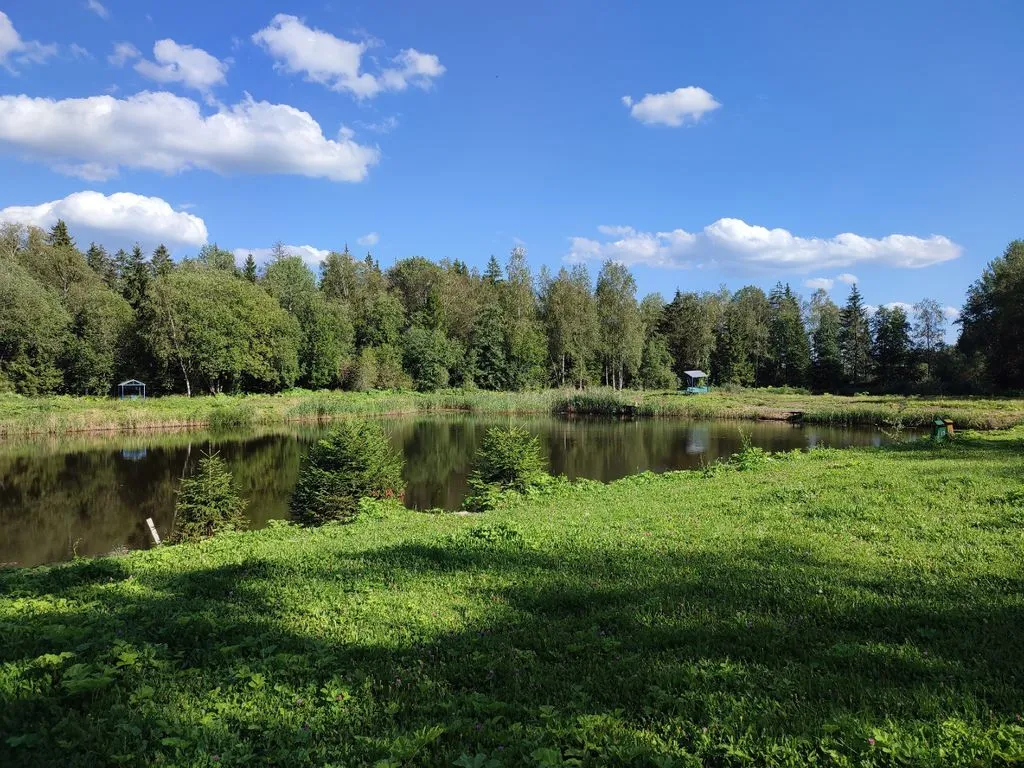 Фото отеля «Berezki», 8