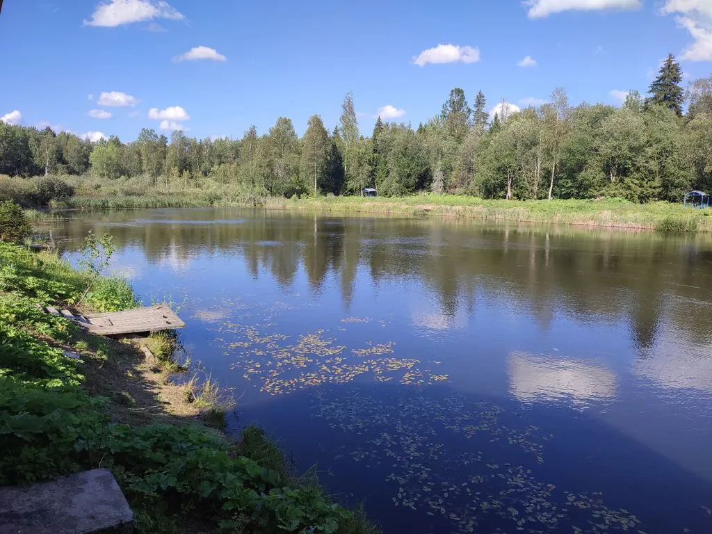 Фото отеля «Berezki», 9