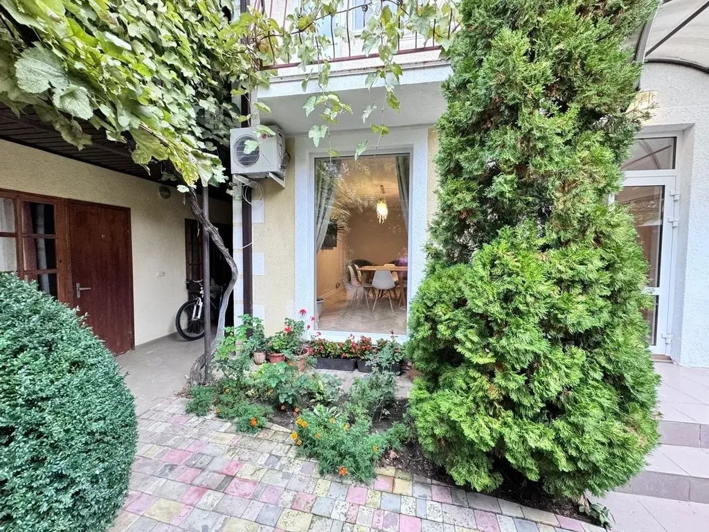 Солнце Тургенева