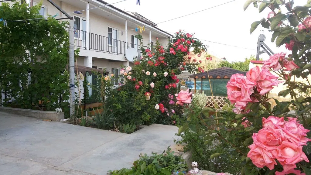 Цветок граната