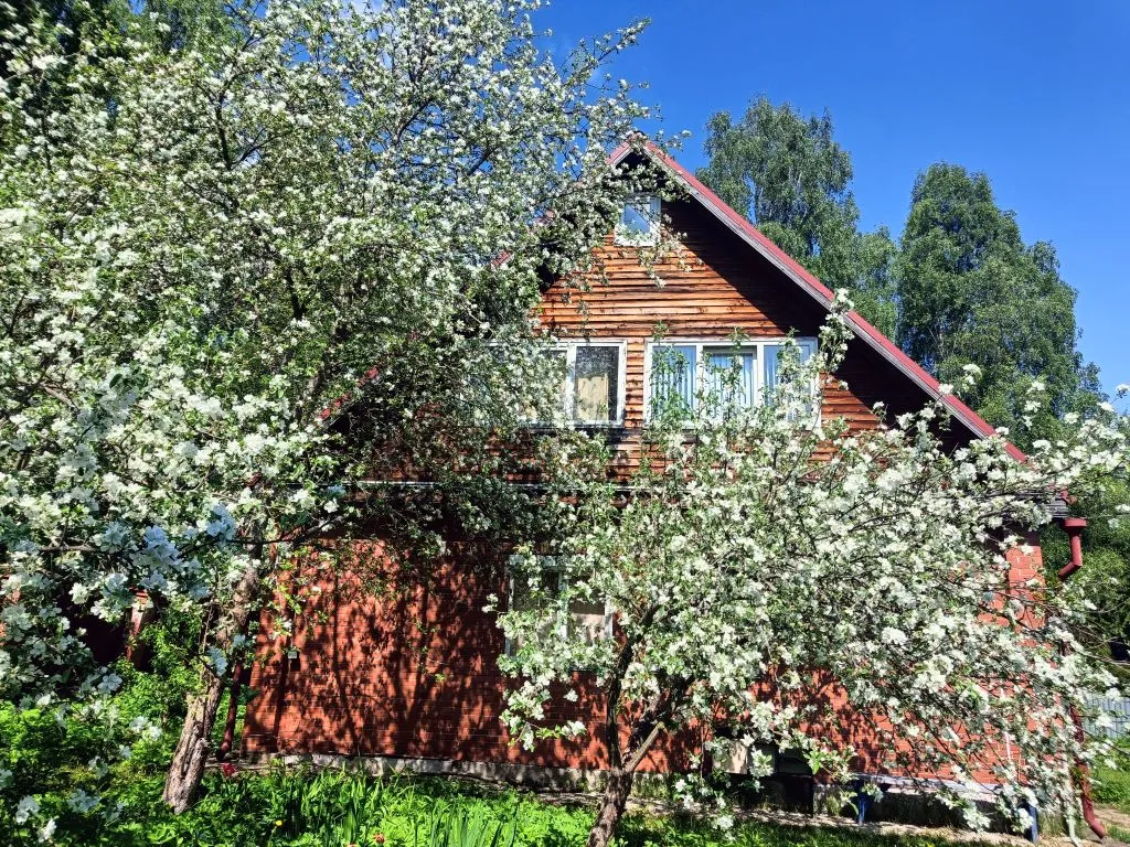Дом у плотины — фасад и вход
