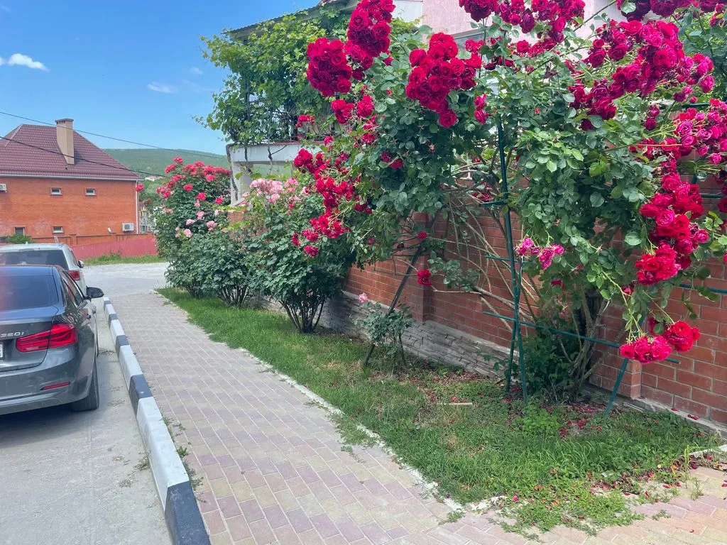 Частный сектор