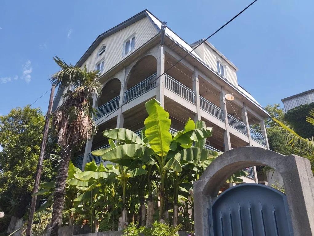 У Артема и Сусанны