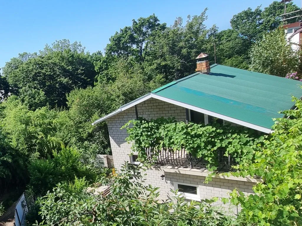 Шепот бамбука