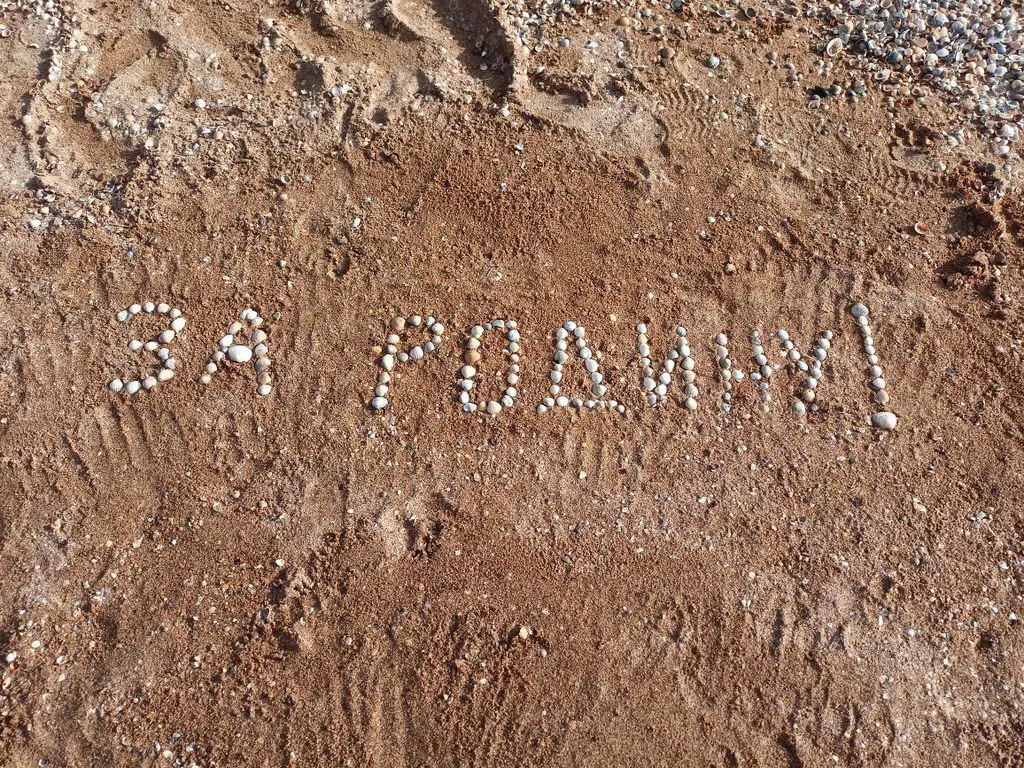 Объект «Сафари», За Родину — фото 16