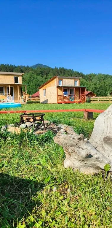 Танина лаванда