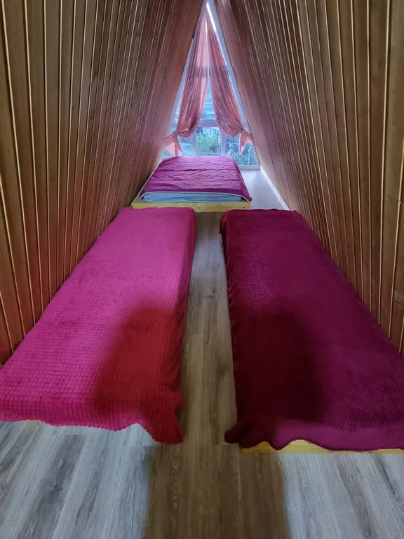 Старая кляча