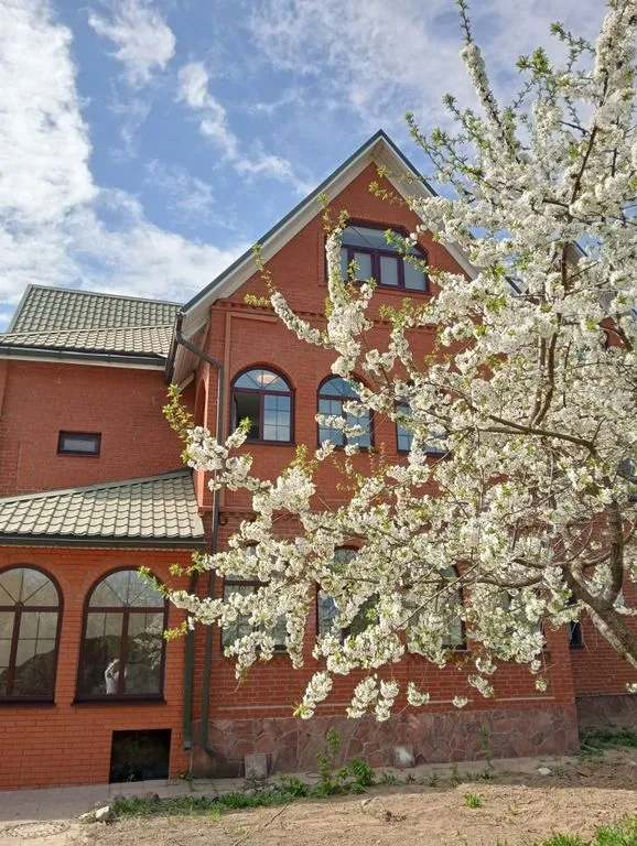 Центральный