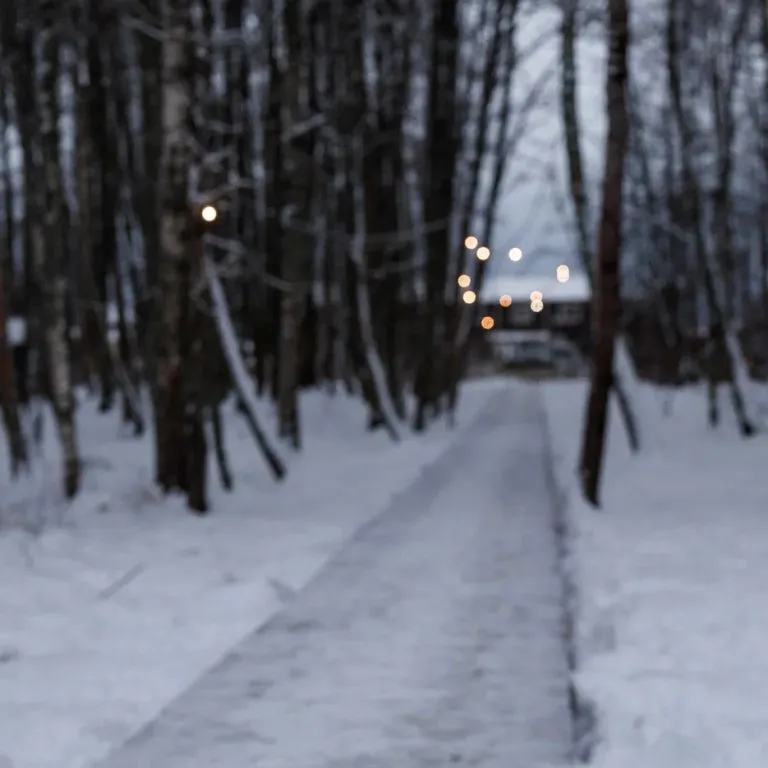 Объект «Загородный комплекс Collection», Лебедки — фото 19