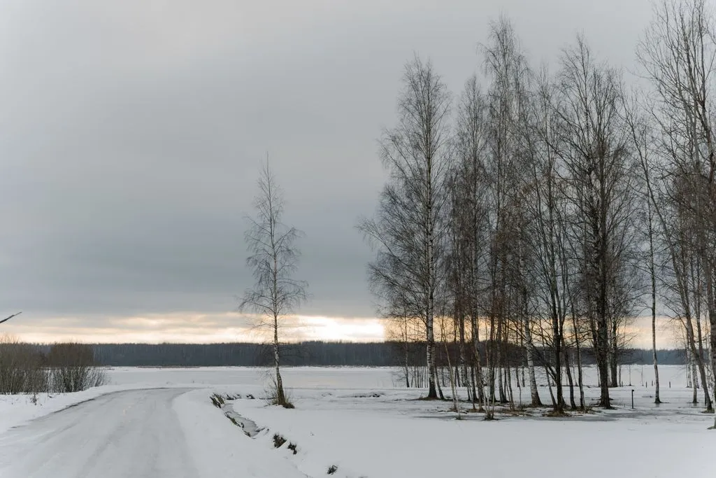 Объект «Загородный комплекс Collection», Лебедки — фото 8