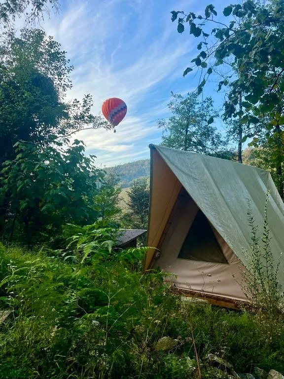 Южный вайб Древо