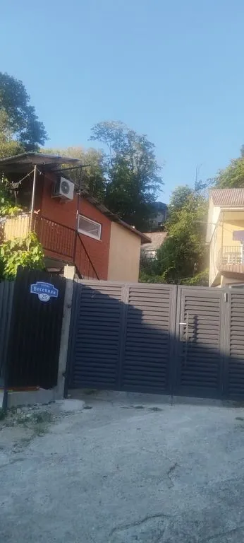 Под пальмой