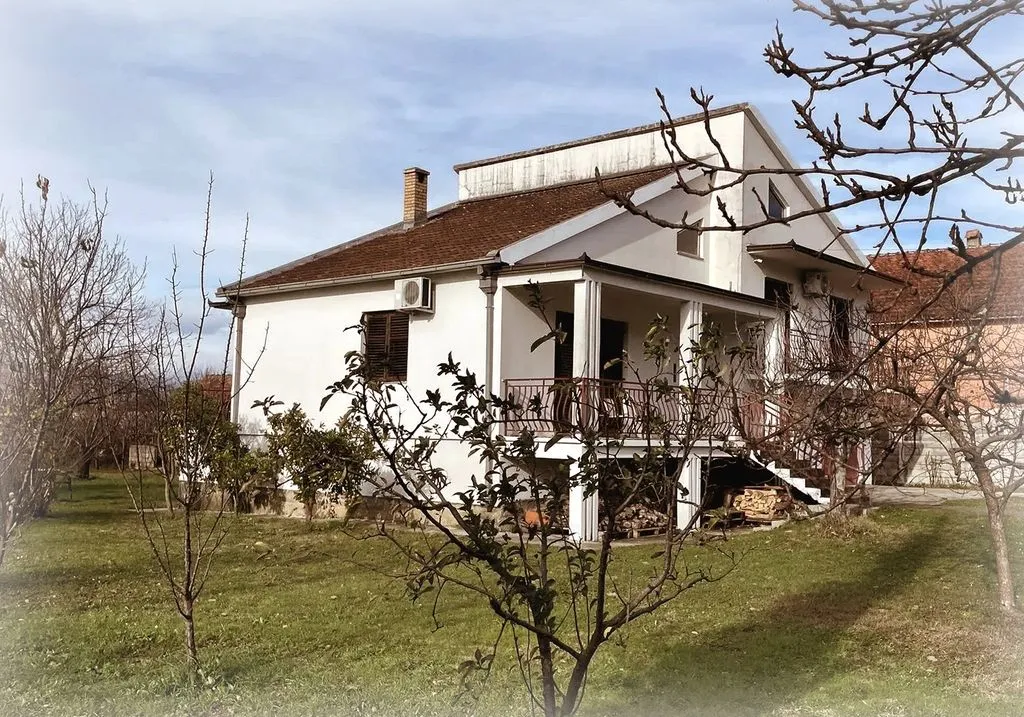 Форест клаб