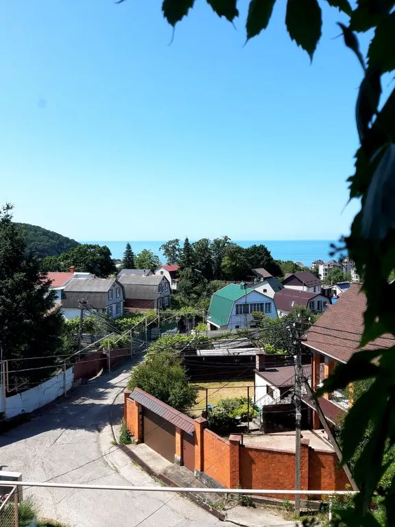 Яблоневый сад