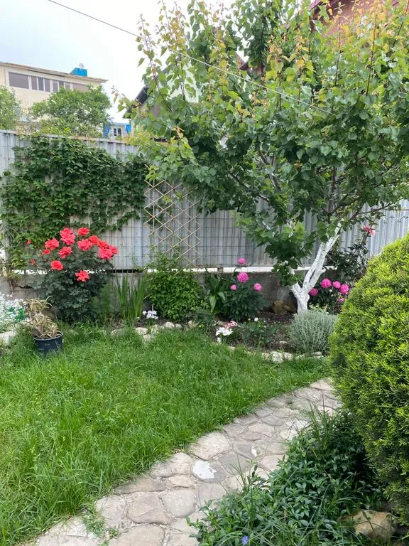 Утренняя звезда