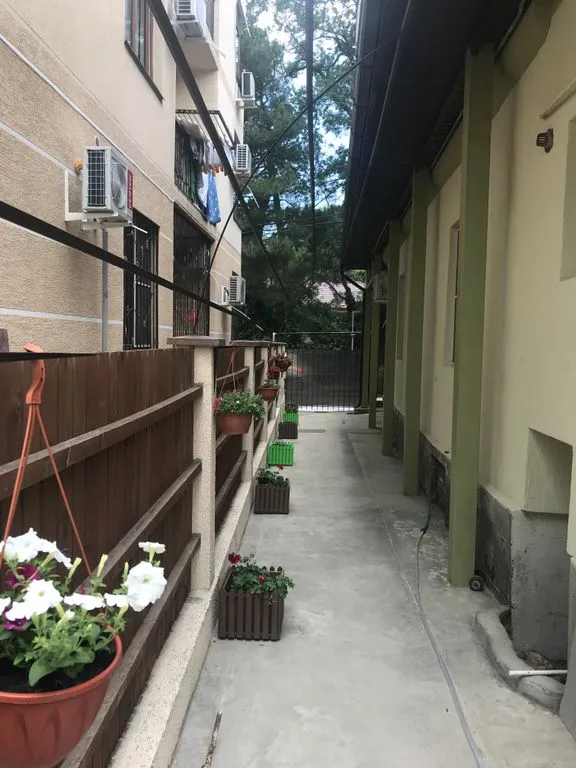 На Зелёном переулке