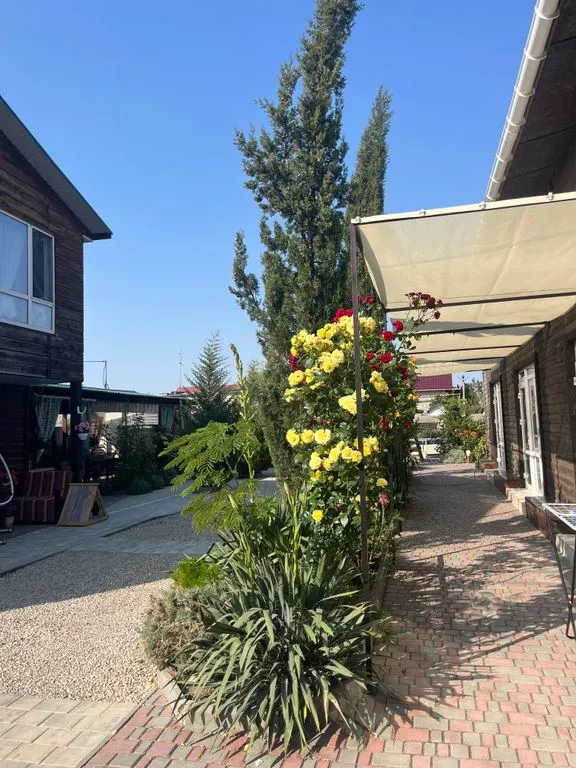 Хороший гость