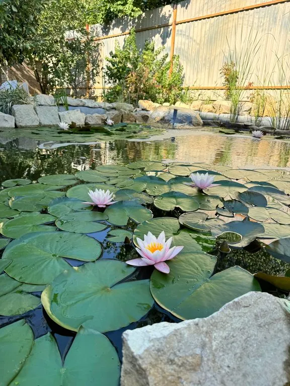 Усадьба Каровых