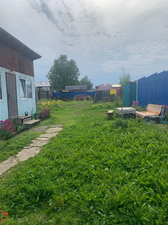 Выдра