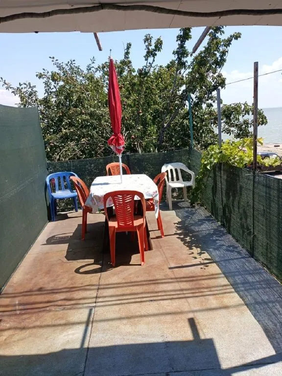 У Владимира