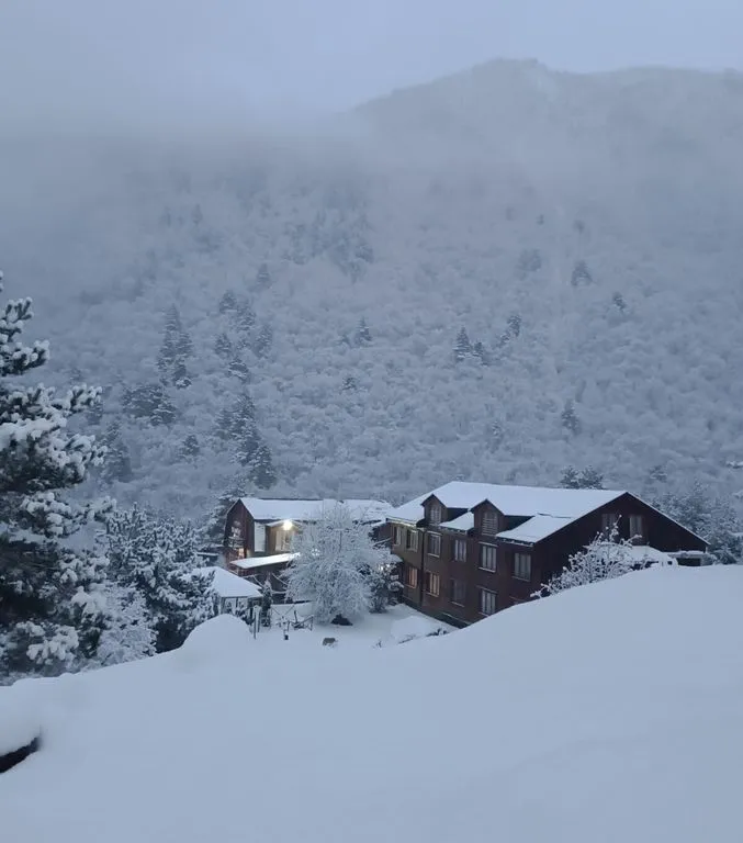 Отель «Tana Park Hotel», Владикавказ — фото 17