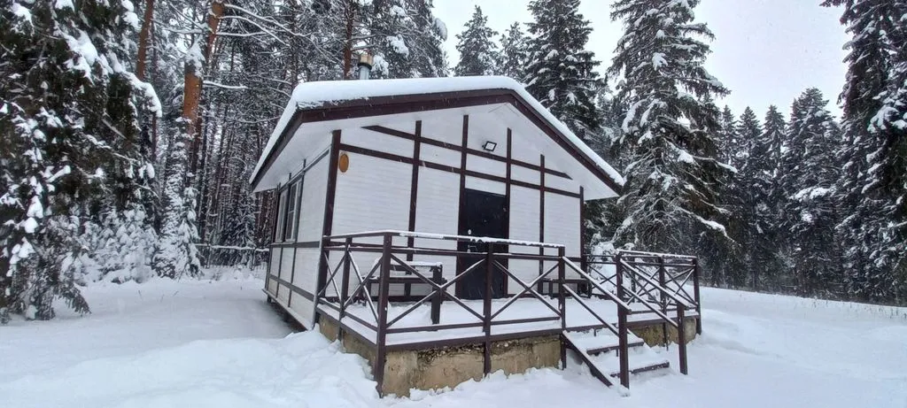 На краю леса
