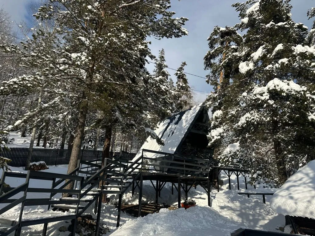 Хвойная долина