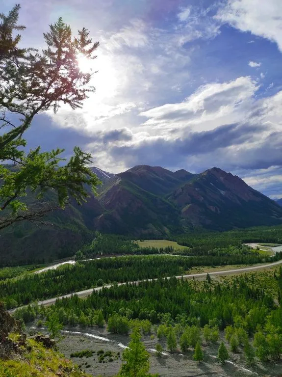 Софийская поляна