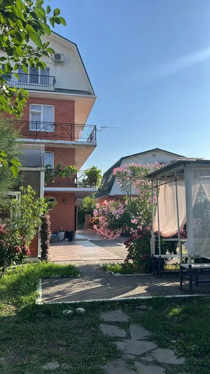 Тюльпановое дерево