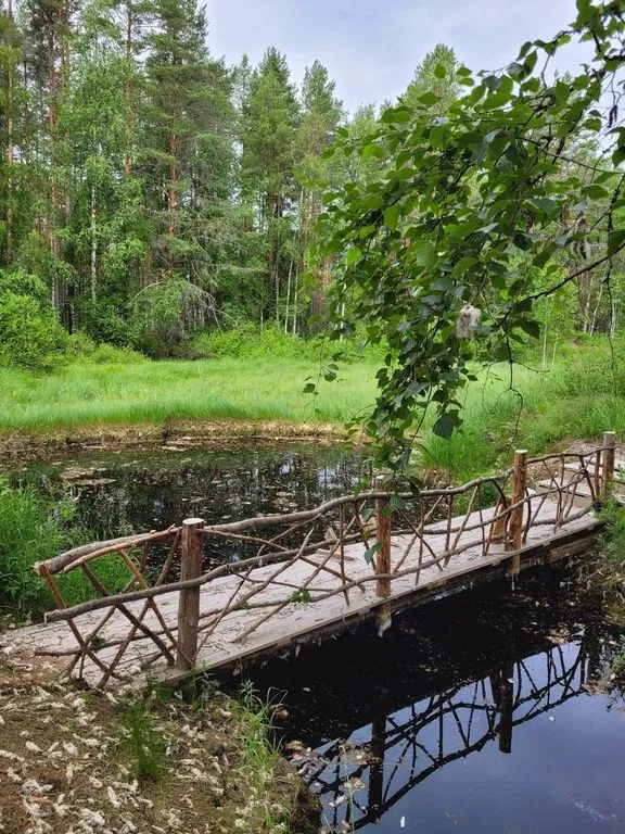Отель «NewCamp Эссойла», Алекка — фото 13