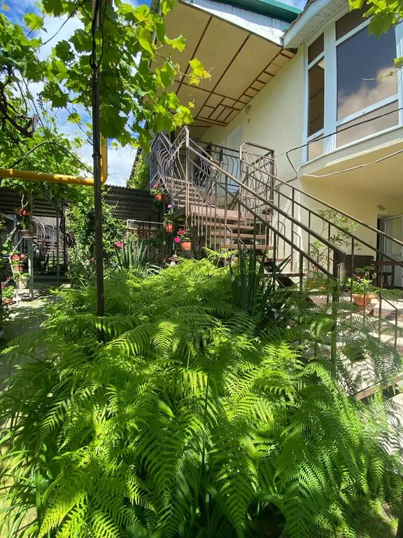 Фото отеля «Можжевельник», 7