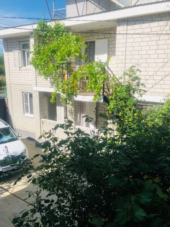 Фото отеля «Тихий», 4