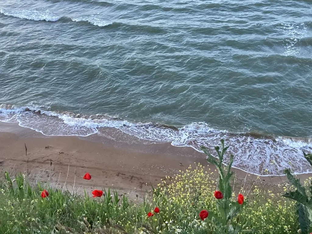 База отдыха «Бунгало на Береговой», Кучугуры — фото 5