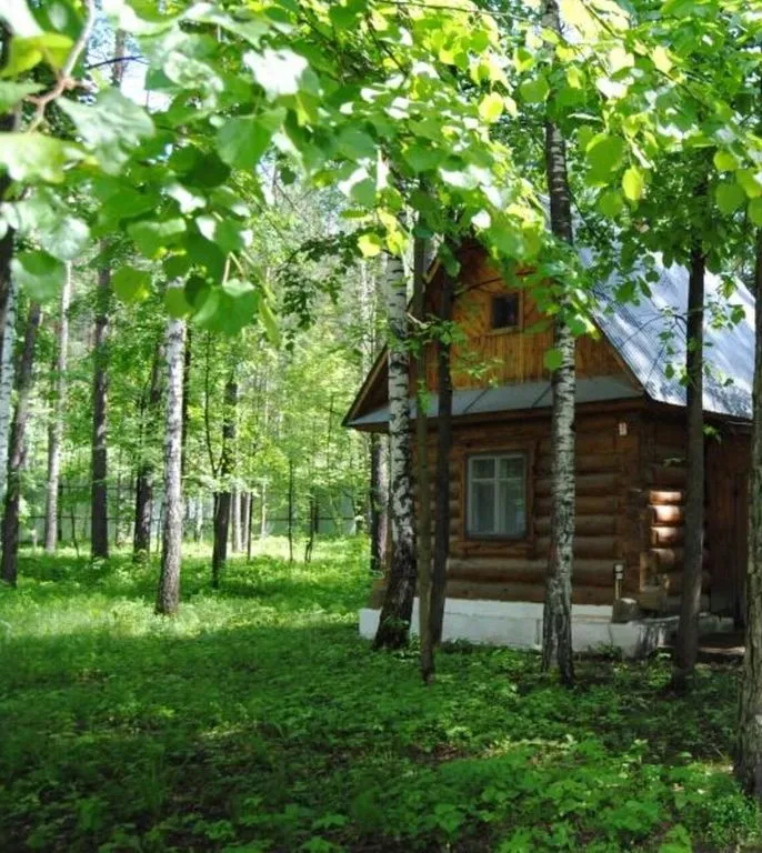 База отдыха «Тонус», Набережные Челны — фото 3