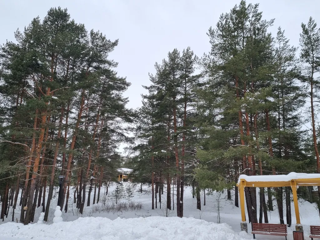 Апартаменты однокомнатные в Курортном, 42 м², Сестрорецк — двор, фото 3