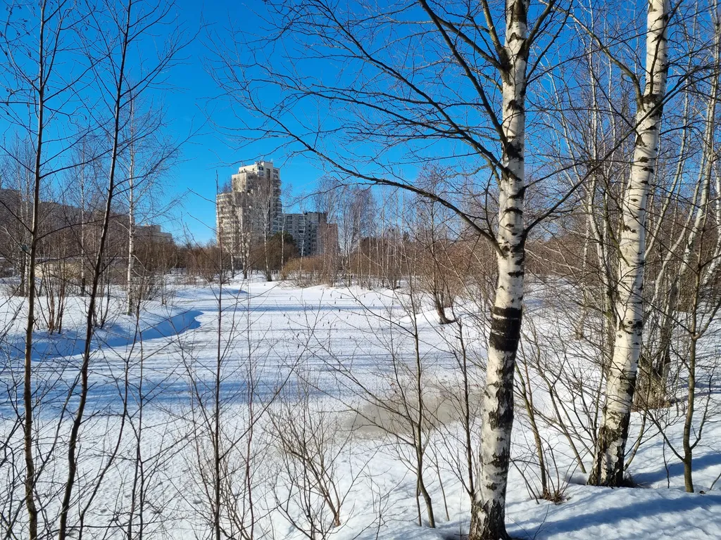 Апартаменты однокомнатные в Курортном, 42 м², Сестрорецк — вид из окна