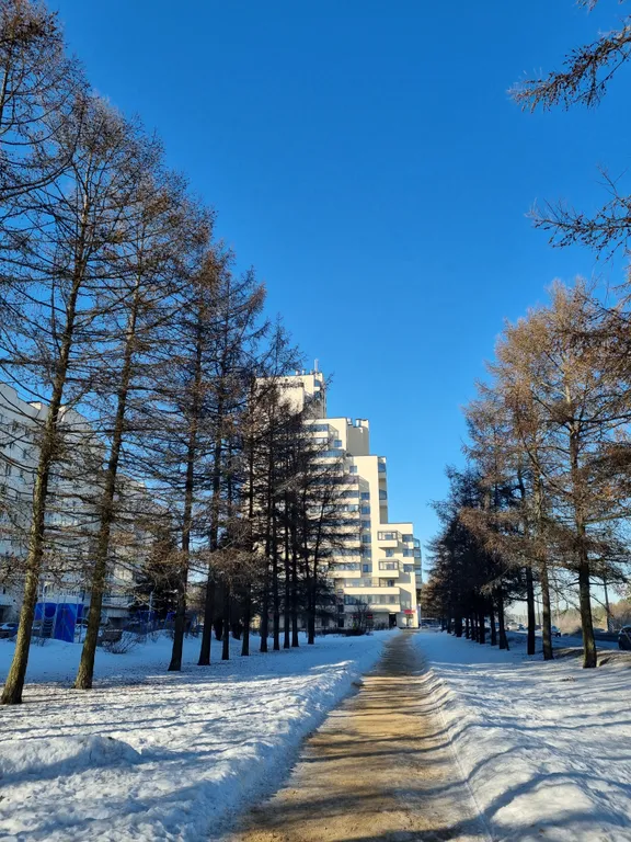 Апартаменты однокомнатные в Курортном, 42 м², Сестрорецк — двор, фото 6