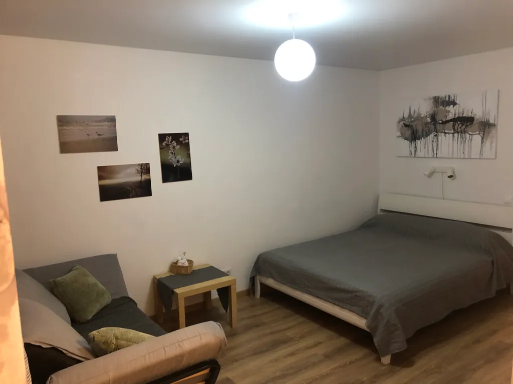 Квартира однокомнатная у метро Девяткино, 30 м², Мурино — фото 5