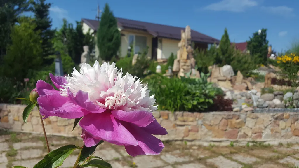 Частный дом